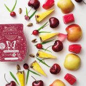 Cranberry & Cardamom Scentsy Bar