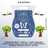 Dashing Scentsy Wax Bar