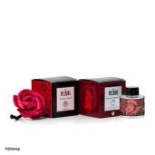 Disney Evil Queen Just One Bite – Wilted Rose Fragrance Flower Packaging