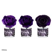 Disney Villains Dark and Devious – Wilted Rose Fragrance Flower Colour Change