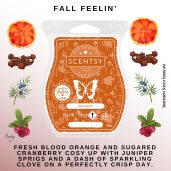 Fall Feelin Scentsy Wax Bar