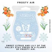 Frosty Air Scentsy Bar