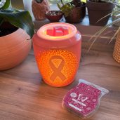 Passion for Pink Scentsy Warmer Styled