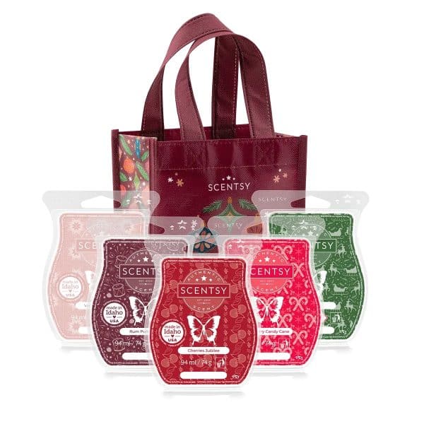 Christmas 2023 Scentsy Bar 5-Pack