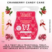 Cranberry Candy Cane Scentsy Bar