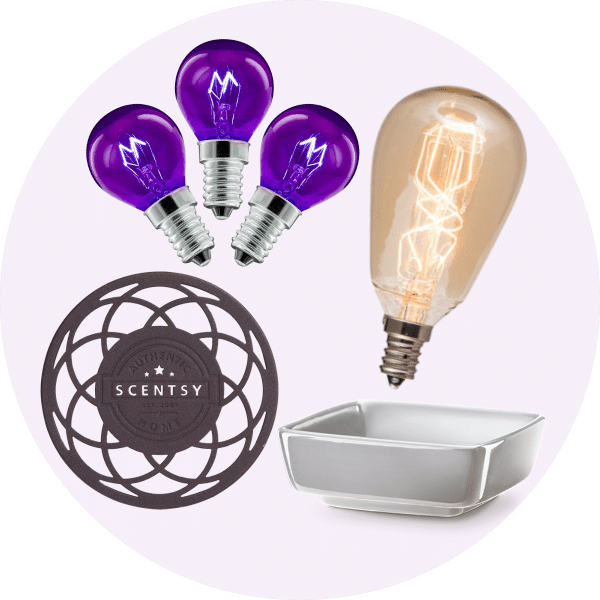 Bulbs, Accessories, & Dishes