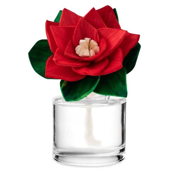 Vanilla Barnwood - Radiant Red Poinsettia Fragrance Flower