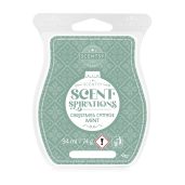 Christmas Cottage Mint Scentsy Bar