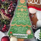 Orange Spice & Everything Nice Scentsy Brick