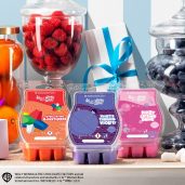 Willy Wonka – Scentsy Wax Collection Styled 2