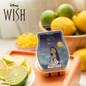 Magic in Every Wish – Scentsy Bar