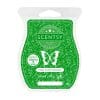 Meet at the Mistletoe Scentsy Bar (December Scent of the Month)