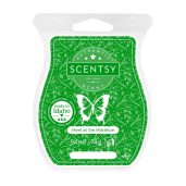 Meet at the Mistletoe Scentsy Bar