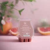 Champagne & Pink Grapefruit Scentsy Bar