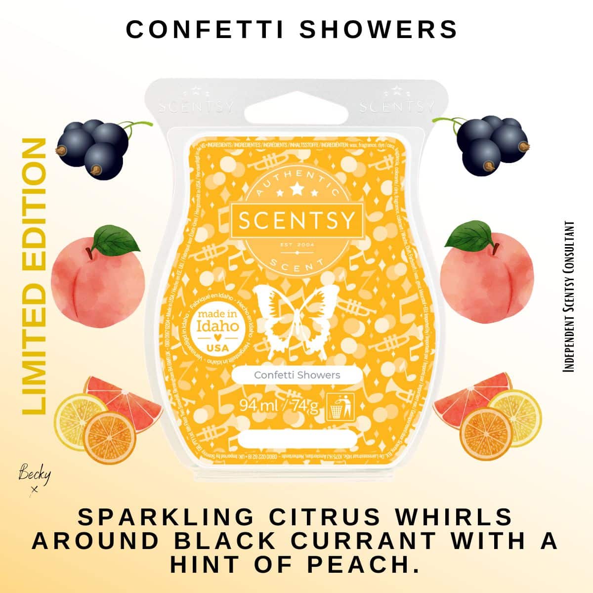Confetti Showers Scentsy Bar