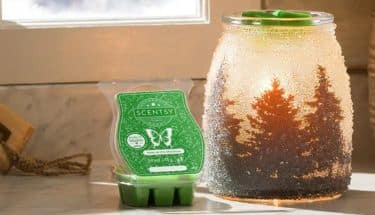 December 2023 Scent and Warmer of the Month