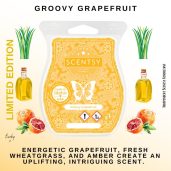 Groovy Grapefruit Scentsy Bar Styled