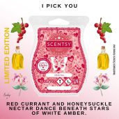 I Pick You Scentsy Wax Bar