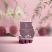 Plum & Vanilla Orchid Scentsy Wax Bar