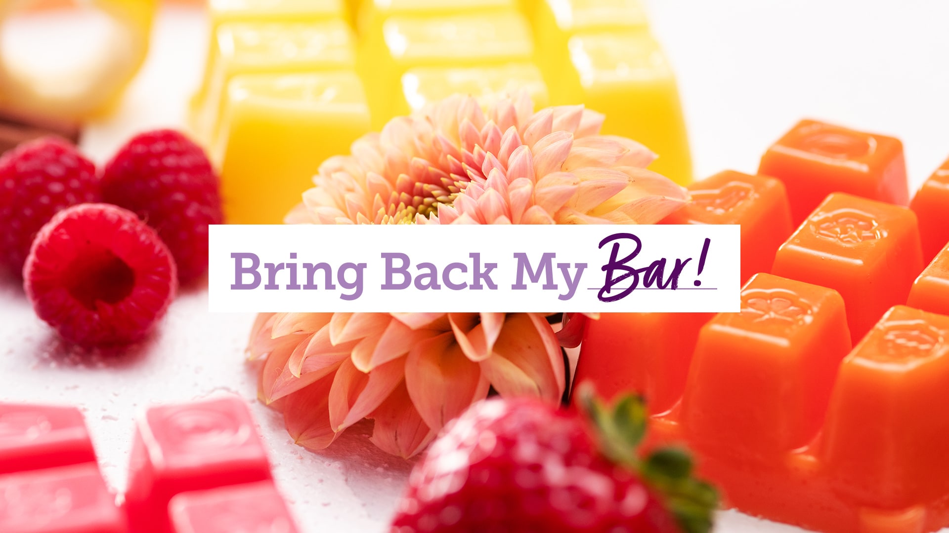 Scentsy Bring Back My Bar Winners! BBMB Back in July 2025