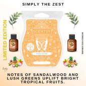 Simply the Zest Scentsy Wax Bar