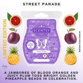 Street Parade Scentsy Bar