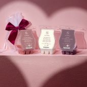 Valentine’s Day Collection Scentsy 3 Bar Bundle