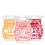 Valentine’s Day Collection Scentsy Bar Bundle