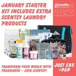 January Starter Kit includes extra Scentsy Laundry products