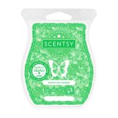 Shamrock Splash Scentsy Bar