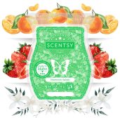 Shamrock Splash Scentsy Bar Syled