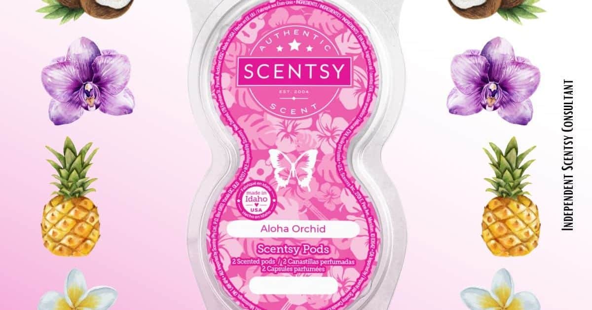 Aloha Orchid Scentsy Pods - Twin Pack - The Candle Boutique - Scentsy ...