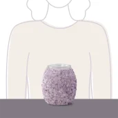 Amethyst Glow Scentsy Warmer Video