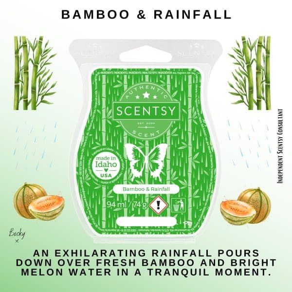 Bamboo & Rainfall Scentsy Bar