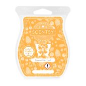 Coastal Sun Fruit Scentsy Bar