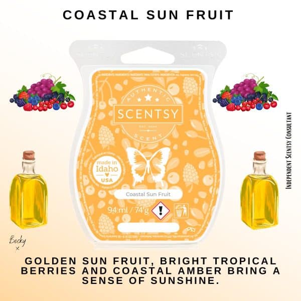 Coastal Sun Fruit Scentsy Bar