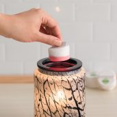 Midnight Crackle Scentsy Warmer With Cotton Cleanup Pad