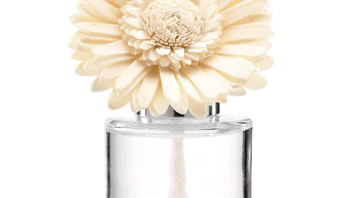 Sea Salt & Avocado Scentsy Fragrance Flower – Dainty Daisy - The Candle  Boutique - Scentsy UK Consultant