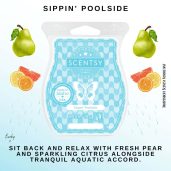 Sippin' Poolside Scentsy Bar