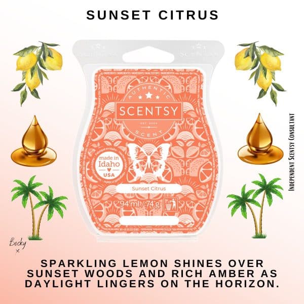 Sunset Citrus Scentsy Bar