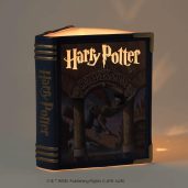 Harry Potter and the Sorcerer’s Stone™ – Scentsy Warmer Dark Setting