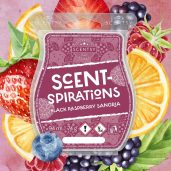 Black Raspberry Sangria Scentsy Bar