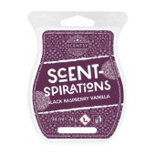 Black Raspberry Vanilla Scentsy Bar