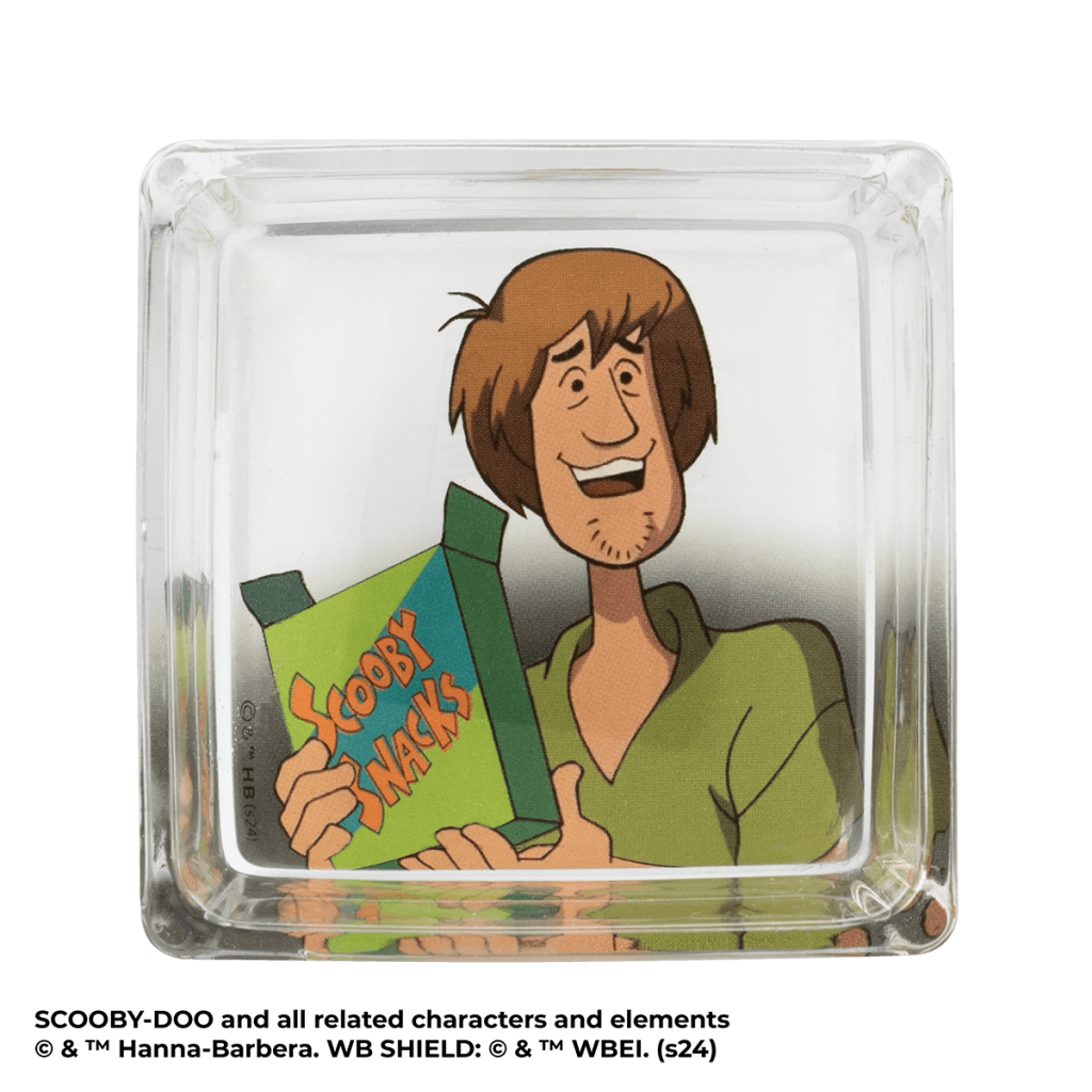 Scooby™ with Scooby Snacks™ Scentsy Warmer Dish