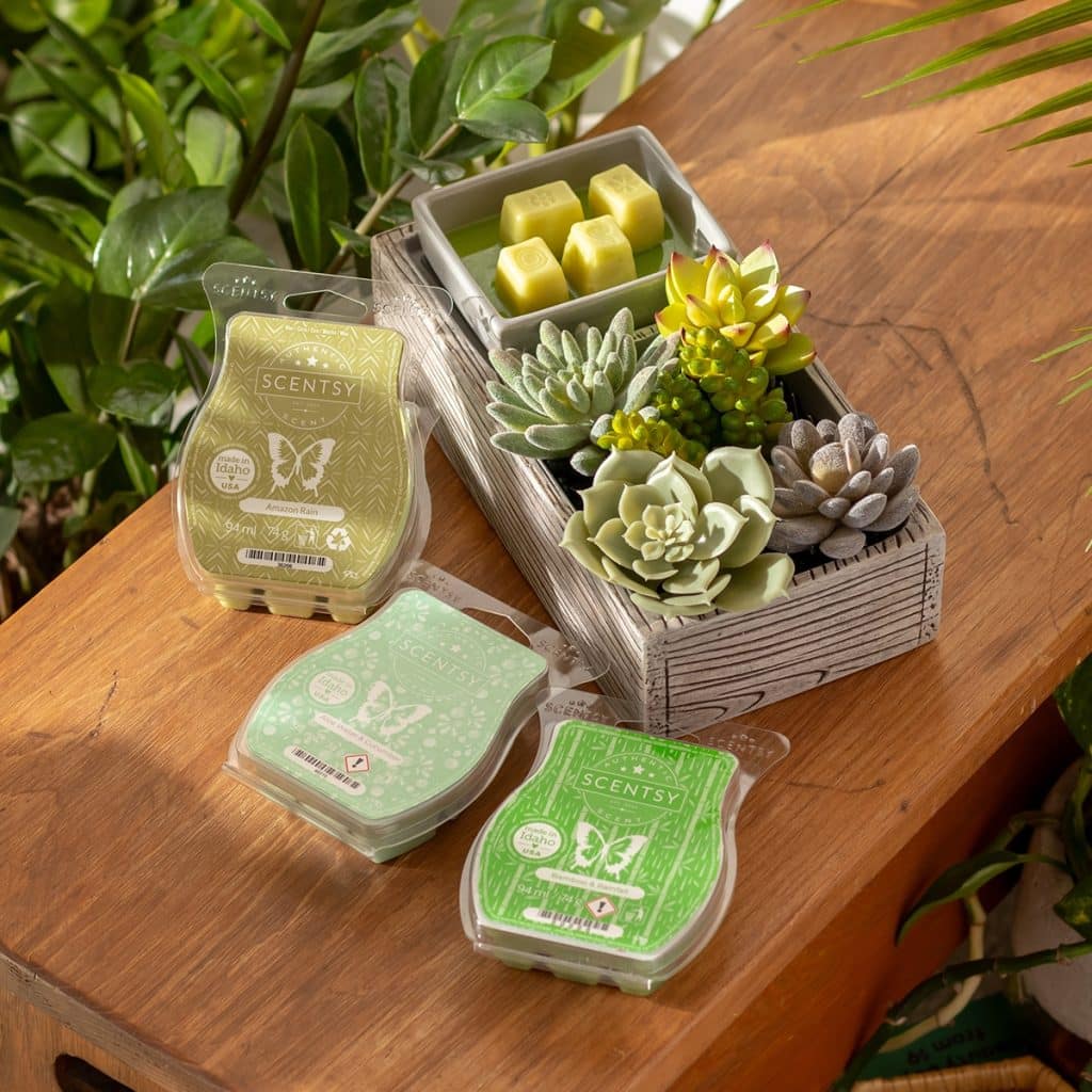 New Plant Appreciation Day Scentsy Bundle