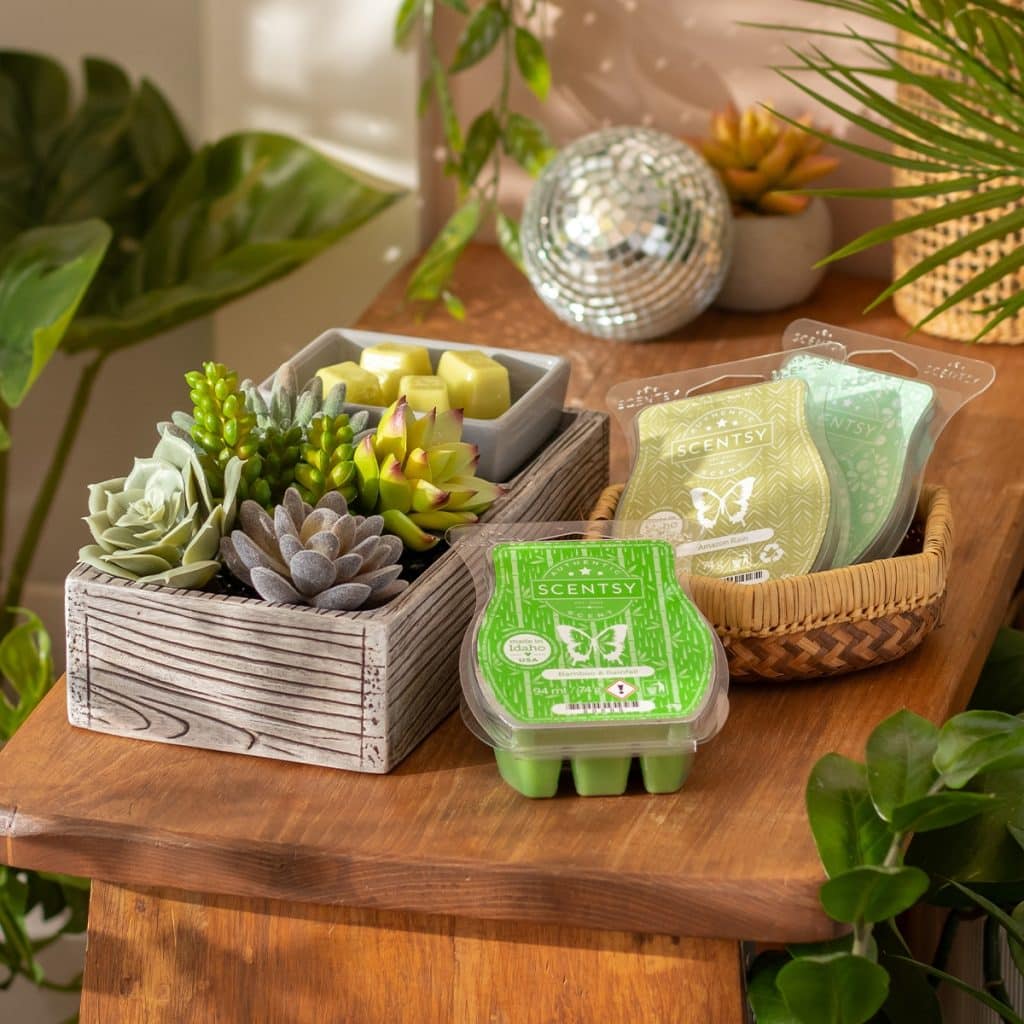 New Plant Appreciation Day Scentsy Bundle