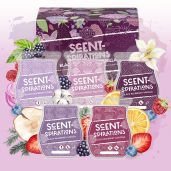 Scent-Spirations Scentsy Black Raspberry Vanilla Bundle Styled