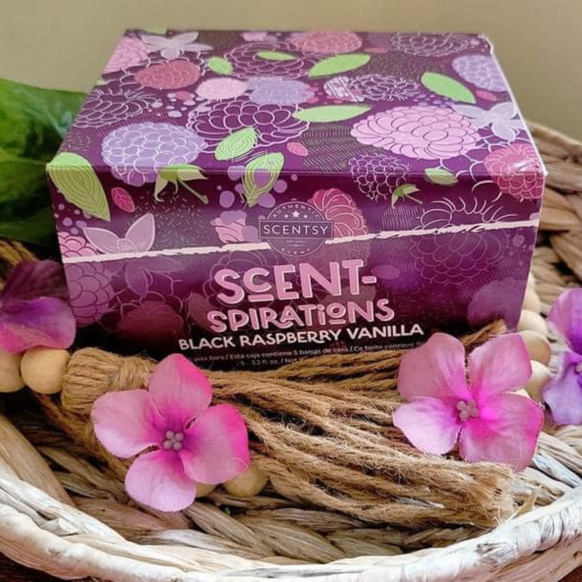 Scent-Spirations Scentsy Black Raspberry Vanilla Bundle Styled