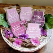 Scent-Spirations Scentsy Black Raspberry Vanilla Bundle Styled