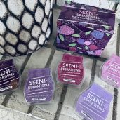 Scent-Spirations Scentsy Black Raspberry Vanilla Bundle Styled